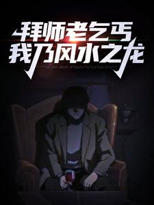 求拜师老乞丐：我乃风水之龙小说免费资源