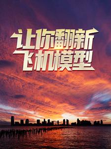 完结版《让你翻新飞机模型，你却打造幽灵战机？》章节阅读