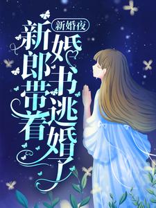 完结版《新婚夜，新郎带着婚书逃婚了？》在线免费阅读