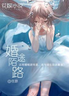 婚途陌路苏霁月秦曜辰，婚途陌路在线无弹窗阅读