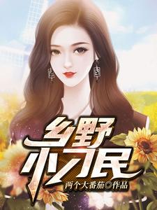 王大炮的小说在哪里看？免费在线阅读乡野小刁民