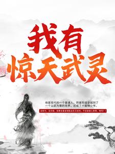 小说《我有惊天武灵》章节免费阅读