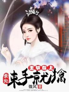 完结版《王爷在上：爱妃束手就擒》章节阅读