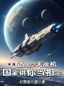 开局造空天战机，国家供你当祖宗章节免费在线阅读，映南安然完结版