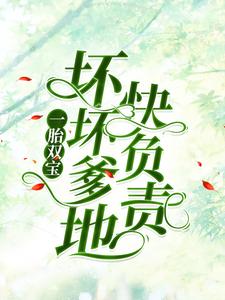 小说《一胎双宝：坏坏爹地快负责》在线章节阅读