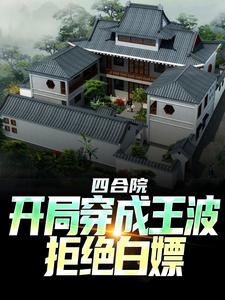 四合院：开局穿成王波，拒绝白嫖王波小说免费阅读