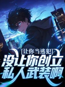 完结版《让你当逃犯，没让你创立私人武装啊》章节阅读