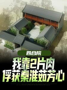 四合院：我靠2片肉俘获秦淮茹芳心王建安秦淮茹在线章节免费阅读